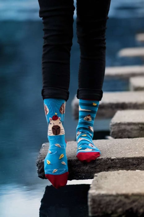 Sosete bumbac Arty Socks Capybara Albastru [4]