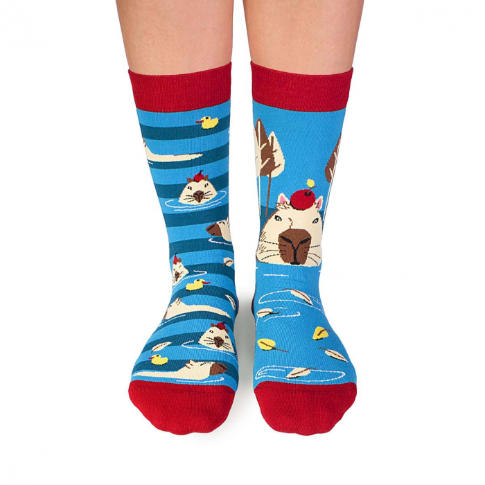 Sosete bumbac Arty Socks Capybara Albastru [2]