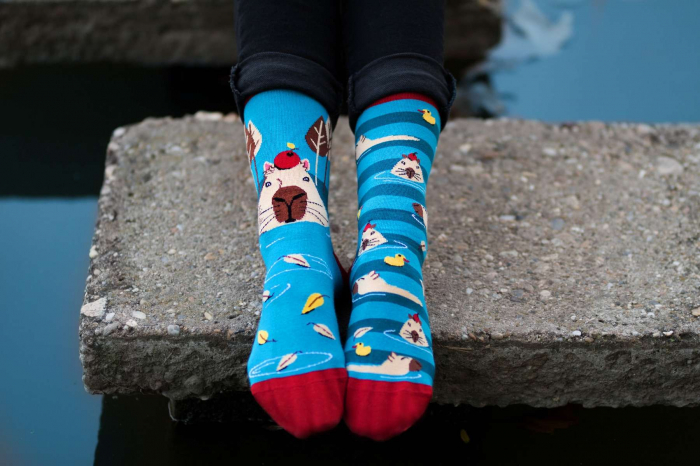 Sosete bumbac Arty Socks Capybara Albastru [3]