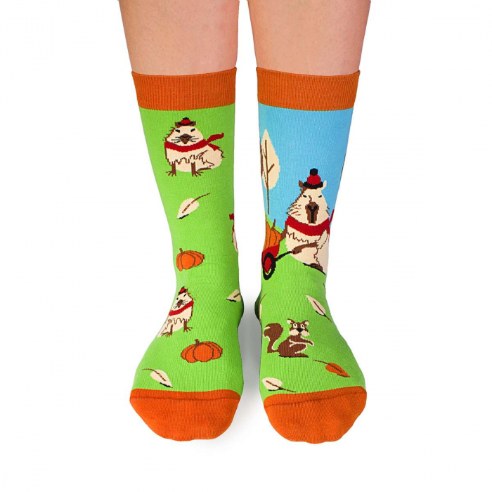 Sosete bumbac Arty Socks Capybara Verde [2]