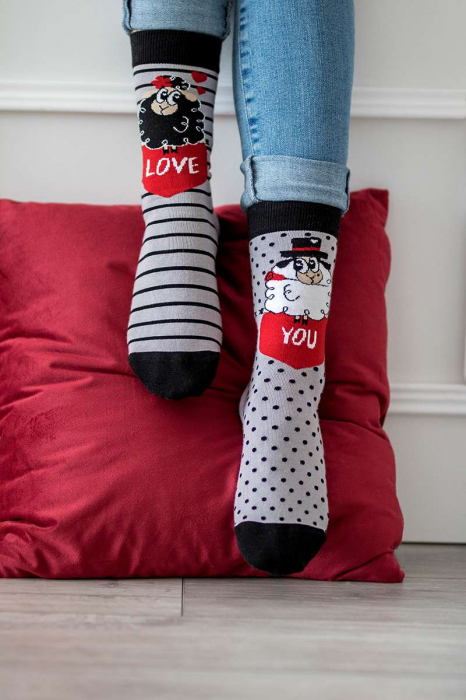 Sosete bumbac Arty Socks Oita Indragostita Gri [6]