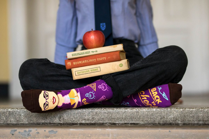 Sosete bumbac ARTY SOCKS Teacher [6]