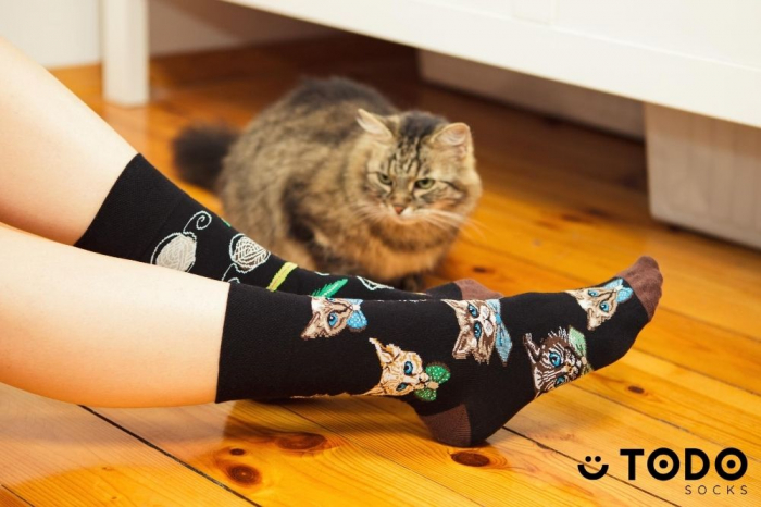 Sosete bumbac Cats Papion [2]