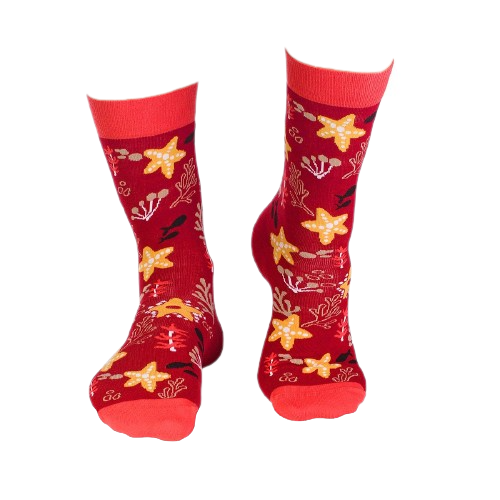 Sosete bumbac Fine Cotton Sealife Steluta de Mare Bordo [6]