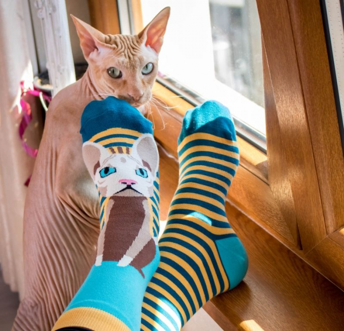Sosete bumbac Funky Cat [4]