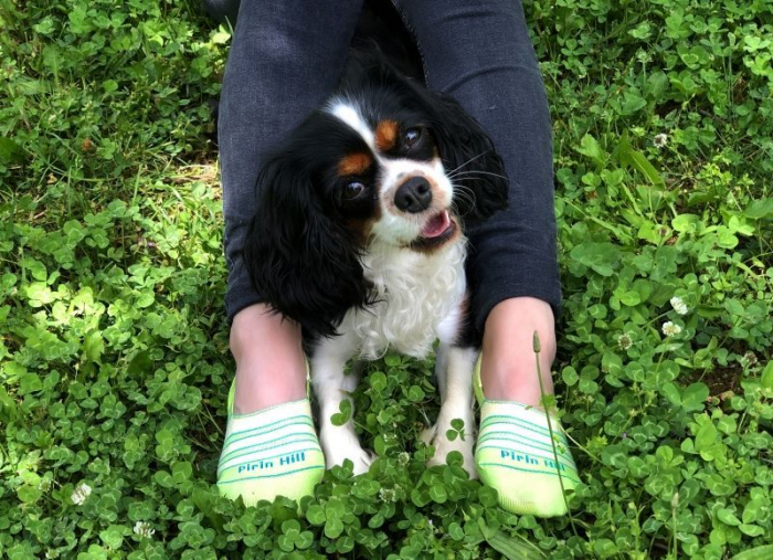 Sosete tip talpici INVISIBLE ORGANIC SOCKS Yellow [3]