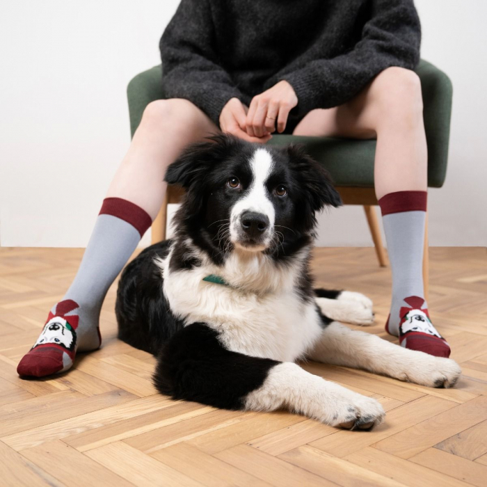 Sosete bumbac Romantic Dog [4]
