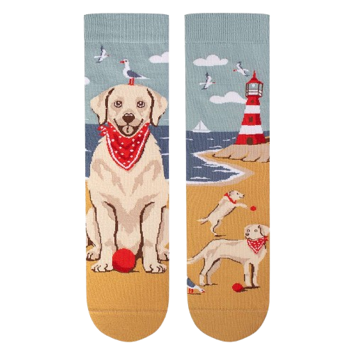 Șosete din bumbac Arty Socks cu Golden Retriever [5]