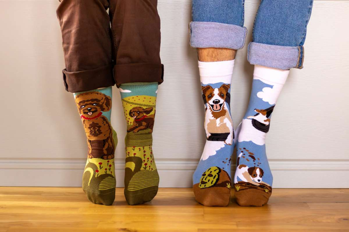 Șosete din bumbac Arty Socks cu Jack Russell [3]