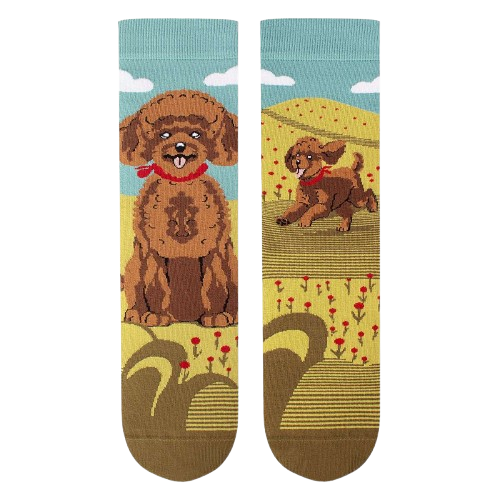 Șosete din bumbac Arty Socks cu Pudel [5]