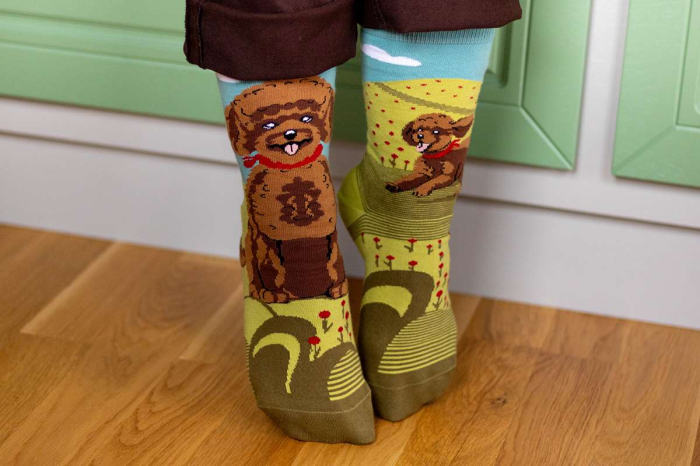 Șosete din bumbac Arty Socks cu Pudel [3]