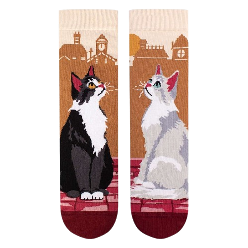 Șosete din bumbac Arty Socks Pisici Urbane [7]