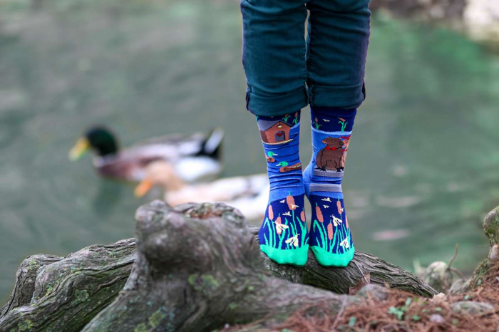 Sosete din bumbac organic Arty Socks Capybara Indragostita Albastru inchis [3]