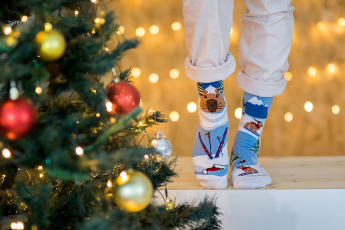 Sosete din bumbac organic de Craciun Arty Socks Capybara George Albastru [2]