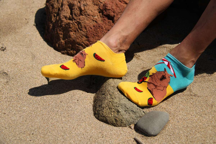 Șosete scurte bumbac Arty Socks cu Capibara la Plajă [3]