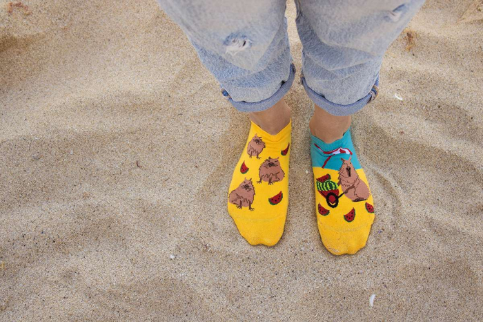 Șosete scurte bumbac Arty Socks cu Capibara la Plajă [4]