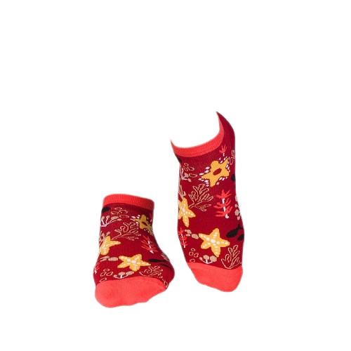 Sosete scurte bumbac Fine Cotton Sealife Steluta de Mare Bordo [4]
