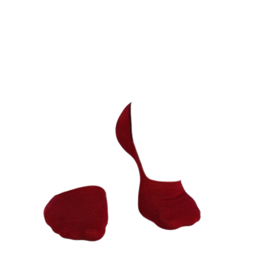 Sosete tip talpici INVISIBLE ORGANIC SOCKS BORDEAUX [4]