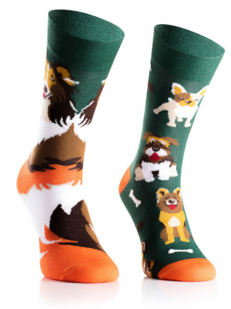Animale - Sosete bumbac Dog Adventures