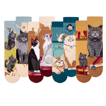 Produse - Cutie cu 4 Perechi de Șosete Arty Socks Pisici V2