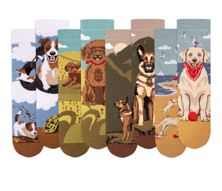 Gift Box - Pachete si Cutii cu Sosete - Cutie cu 4 Perechi de Șosete din bumbac Arty Socks Câini