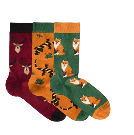 Gift Box-uri Amuzante - Sosete bumbac Forest Animals Box, 3 buc.