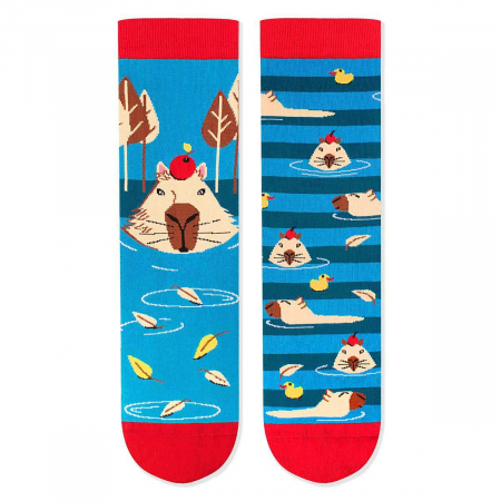 Sosete amuzante barbati - Sosete bumbac Arty Socks Capybara Albastru