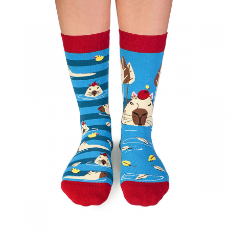 Sosete amuzante barbati - Sosete bumbac Arty Socks Capybara Albastru