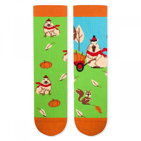 Sosete amuzante barbati - Sosete bumbac Arty Socks Capybara Verde
