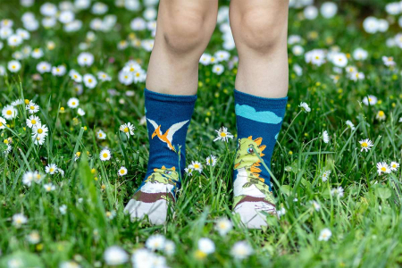 Șosete bumbac  Arty Socks cu Dinozaur Verde [4]
