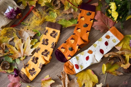 Legume, fructe si gastronomie - Sosete bumbac organic BOX 3 COLOUR COTTON AUTUMN LEAVES SQUIRREL ACORNS