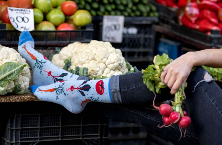 Legume, fructe si gastronomie - Sosete bumbac organic Fine Cotton Micul Gradinar Albastru palid