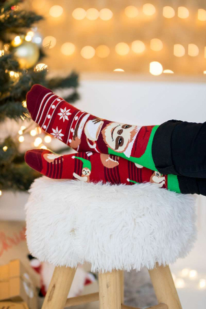 Șosete de Crăciun din bumbac  Arty Socks cu Leneș Roșu [3]