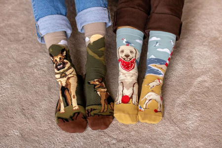 Șosete din bumbac Arty Socks cu Golden Retriever [2]