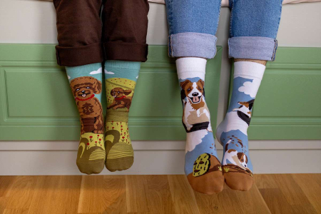 Șosete din bumbac Arty Socks cu Jack Russell [3]
