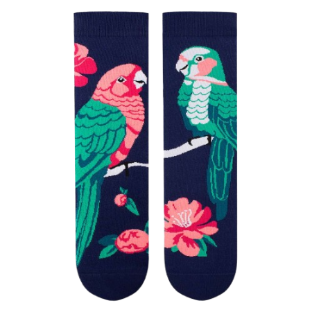 Șosete din bumbac Arty Socks cu Papagali [4]