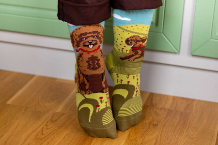 Șosete din bumbac Arty Socks cu Pudel [2]