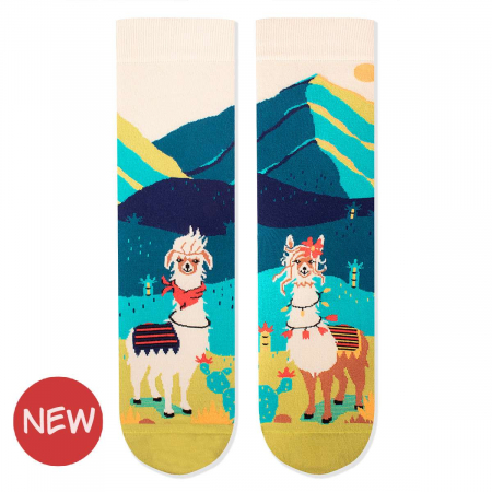 Animale - Sosete din bumbac organic Arty Socks Lame Indragostite Turcoaz