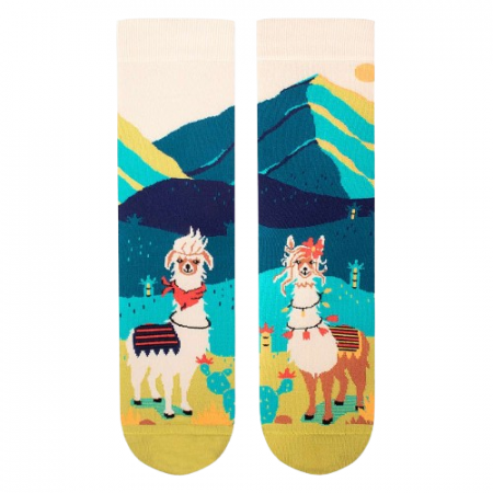 Animale - Sosete din bumbac organic Arty Socks Lame Indragostite Turcoaz