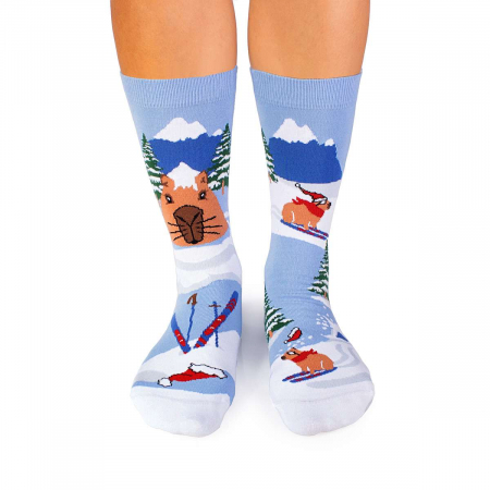 Animale - Sosete din bumbac organic de Craciun Arty Socks Capybara George Albastru
