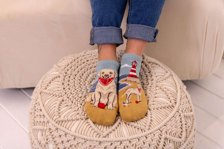 Șosete scurte bumbac Arty Socks cu Golden Retriever [2]