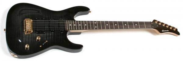 Chitara Electrica Heavy Santander Pro 6 corzi [7]