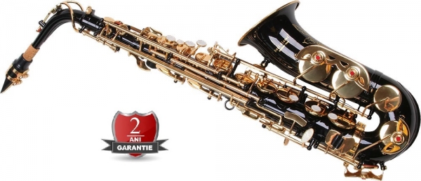 Saxofon Alto Karl Glaser® NEGRU + clape auriu [9]