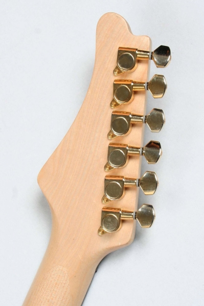 Chitara Electrica Heavy Santander Pro 6 corzi [6]