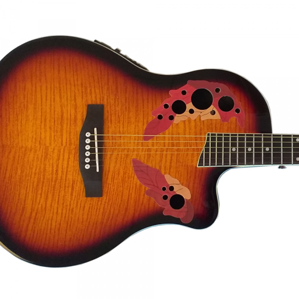 Chitara Electro-Acustica Roundback carbon Santander RB 2100 1A sunburst [3]