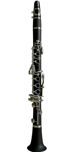 Clarinet Karl Glaser® Eb(Mi bemol)  12clape+6inele mini Böhm sistem ebonita pentru copii [4]