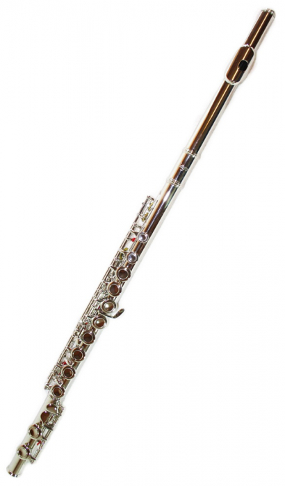 Flaut Parrot 6456 Silver Flute C [3]