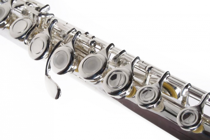 Flaut Parrot 6456 Silver Flute C [2]