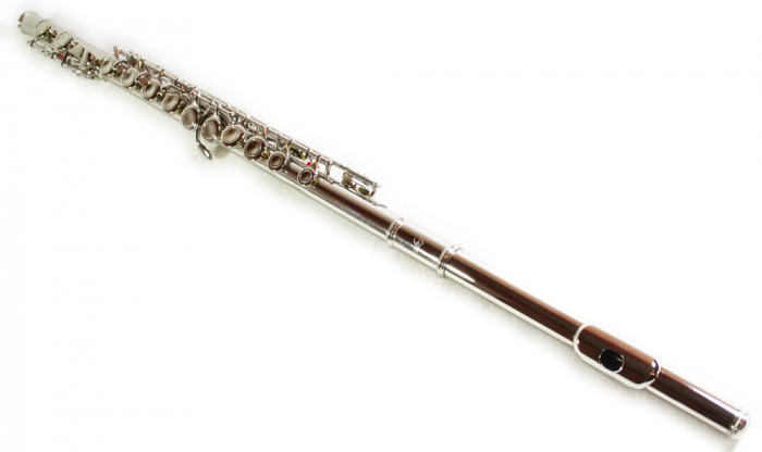 Flaut Parrot 6456 Silver Flute C [9]