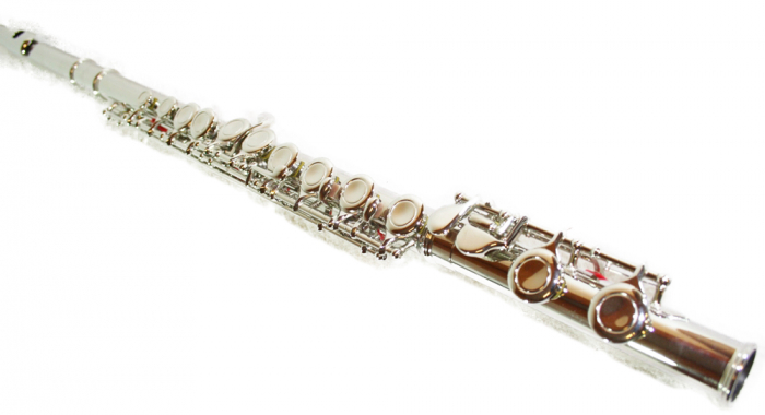 Flaut Parrot 6456 Silver Flute C [4]